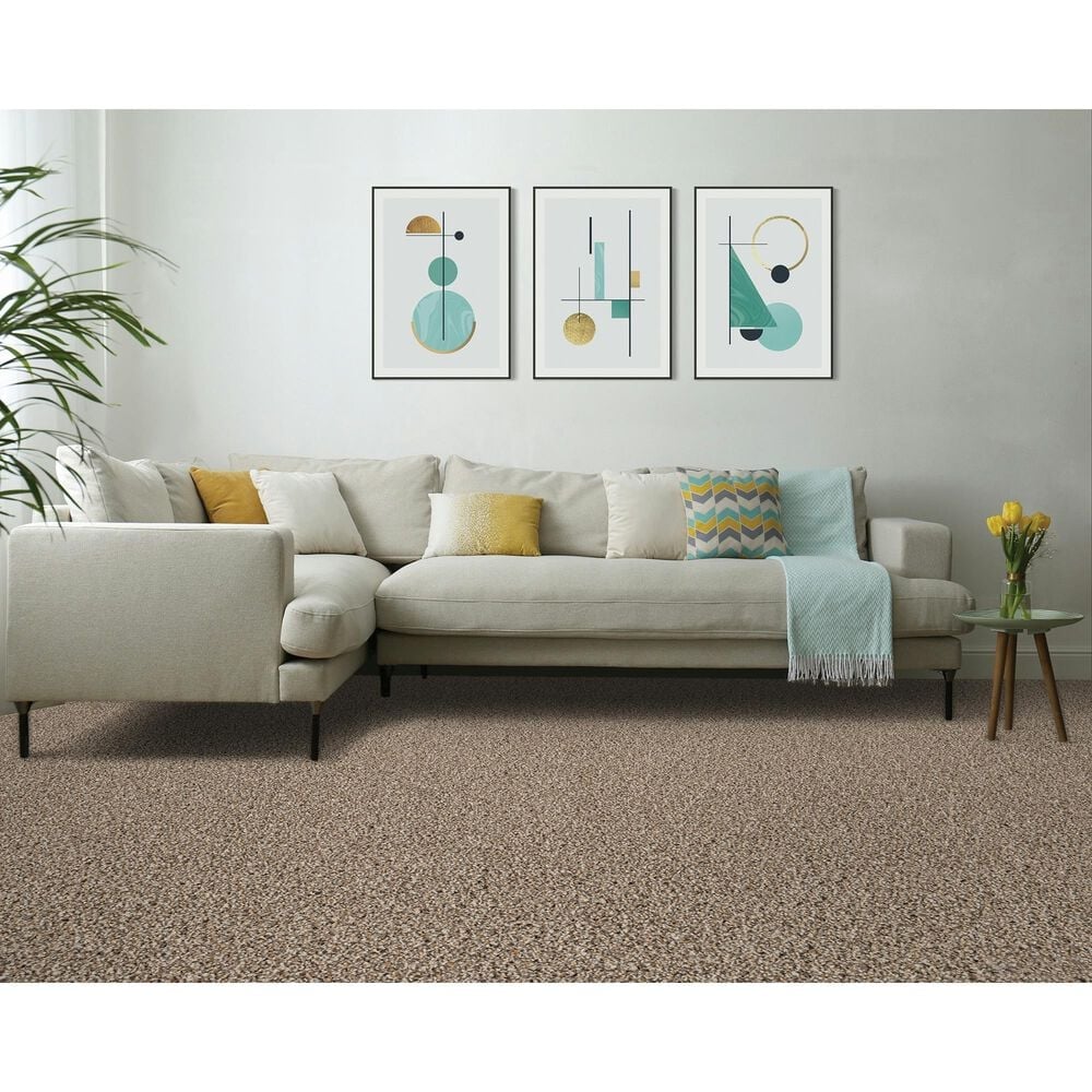 Mohawk Luxuriant Space Carpet in Scroll, , large