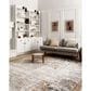 Loloi II Alchemy ALC-02 7"11" x 10"6" Granite and Gold Area Rug, , large