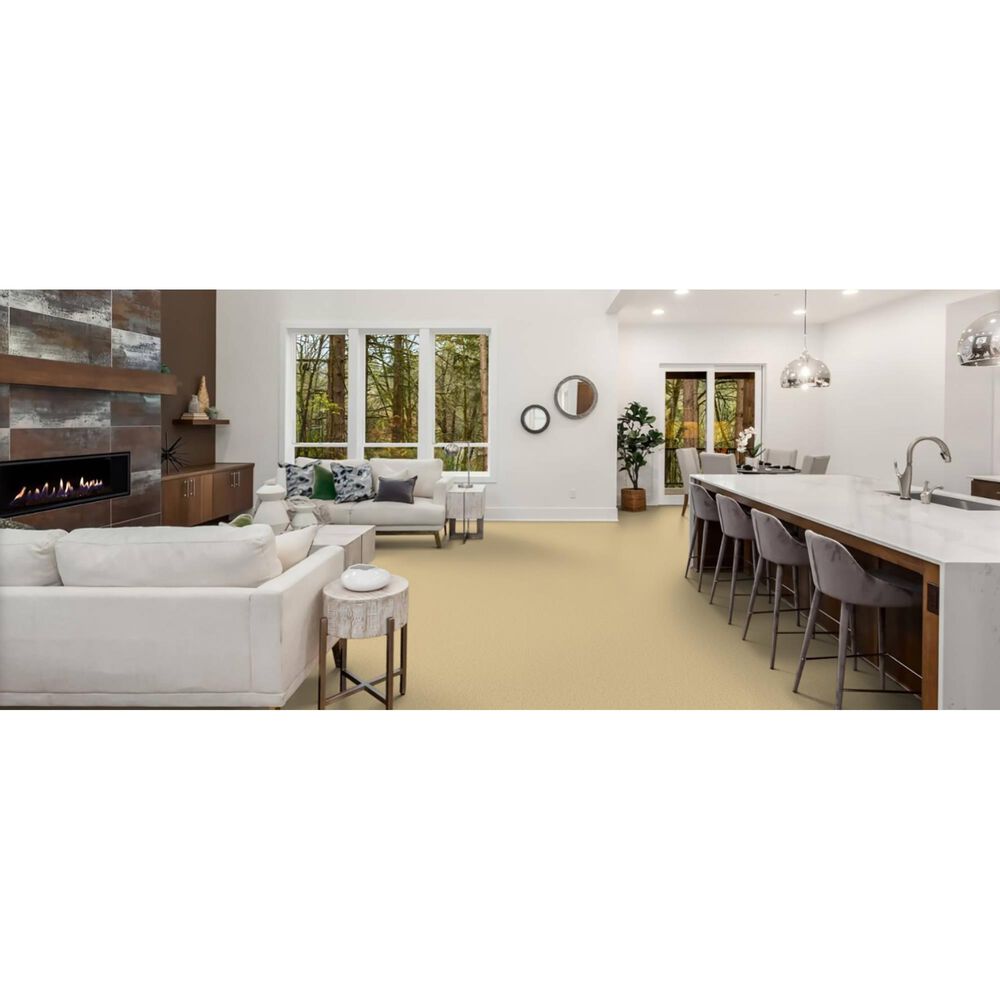 Masland Miami Carpet in Honey Harbor, , large