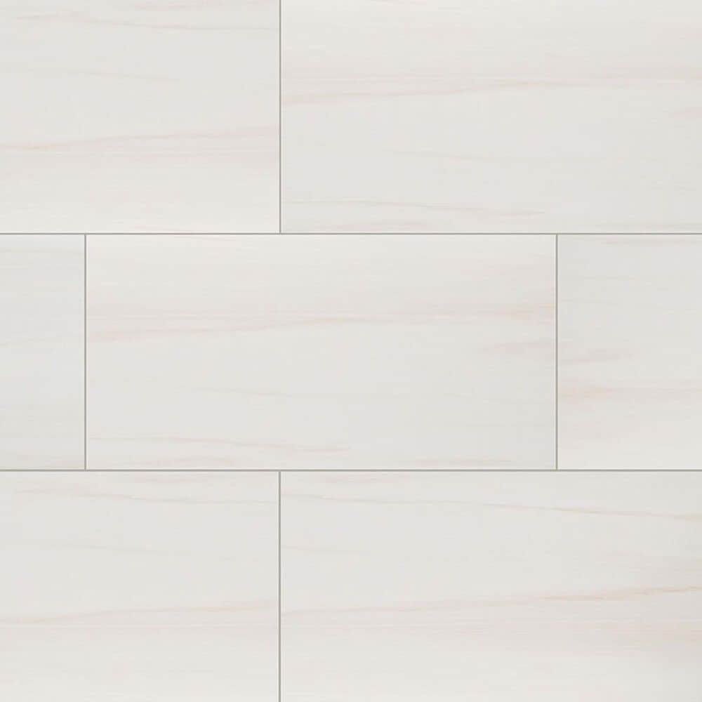 MS International Eden Dolomite 12" x 24" Polished Porcelain Tile, , large