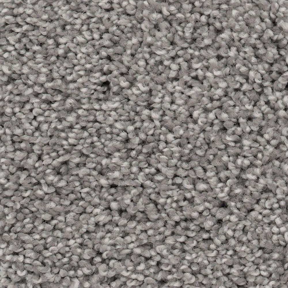 Anderson Tuftex Caress Cozy Harbor I Carpet in Grounded Gray, , large