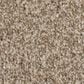 Anderson Tuftex Terra Nova Carpet in Canvas, , large