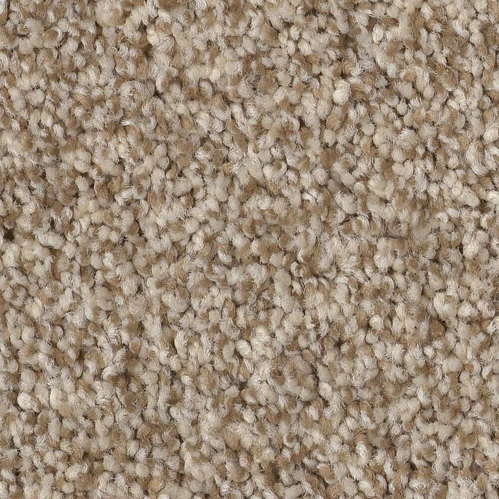 Anderson Tuftex Terra Nova Carpet in Canvas, , large