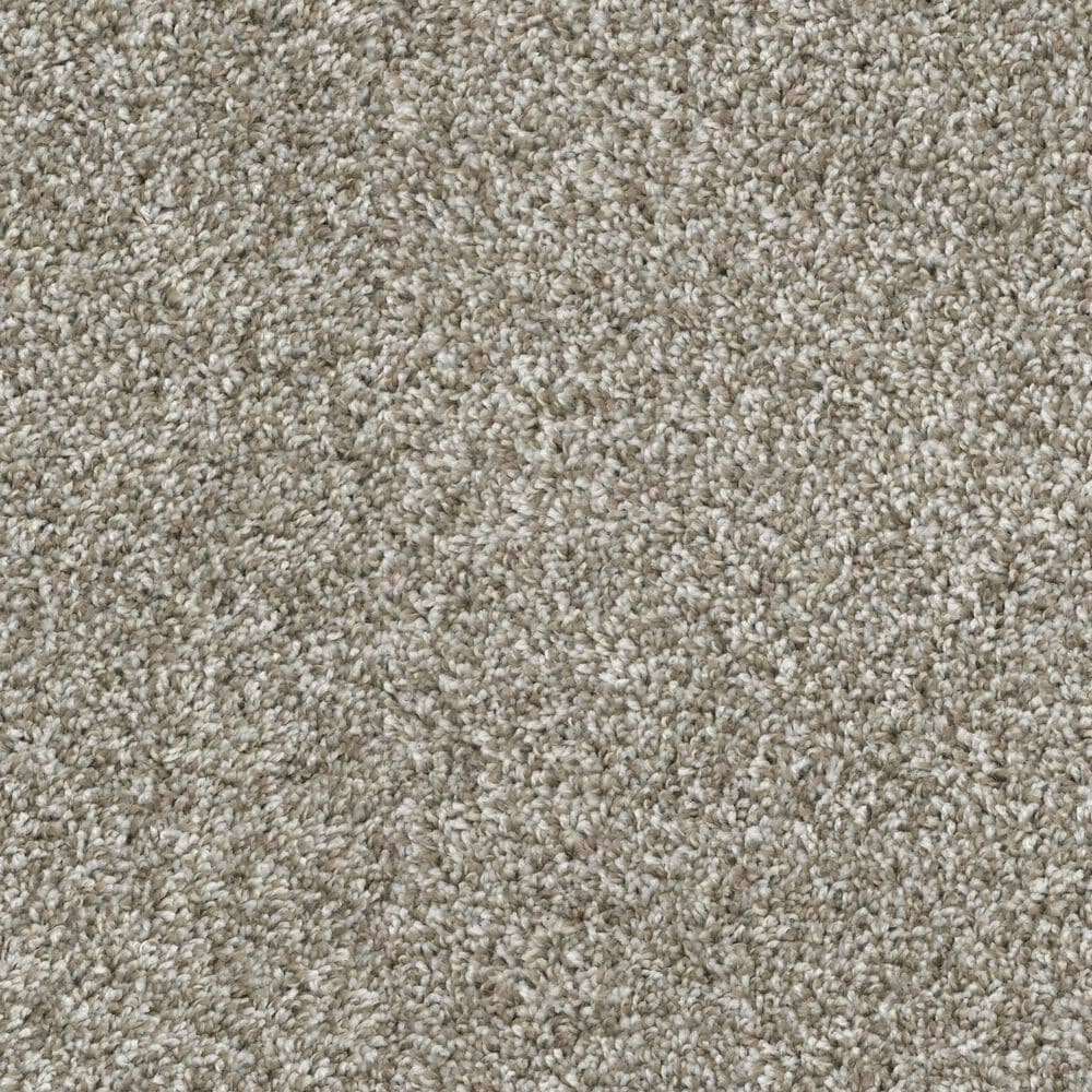 Dixie Home Outlast Carpet in Shale, , large