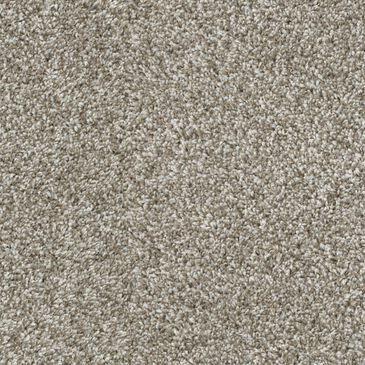 Dixie Home Outlast Carpet in Shale, , large