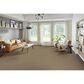 Phenix Emerson Carpet in Elegance, , large