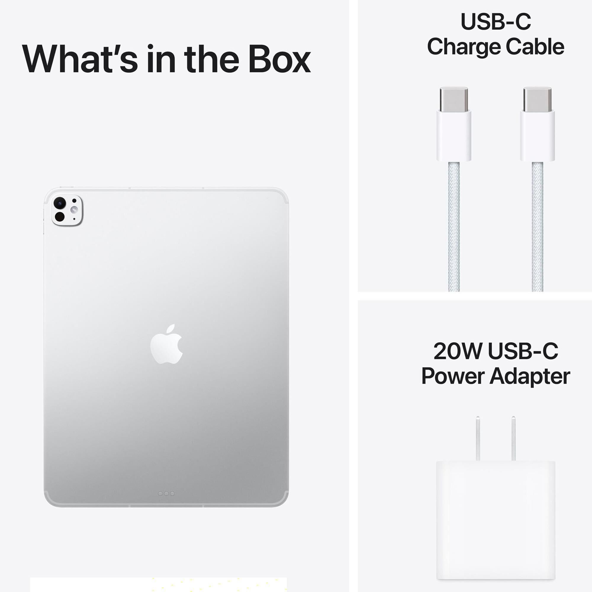Apple 13