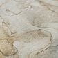 Dalyn Rug Company Odyssey OY8 Brown 3" x 5" Area Rug, , large