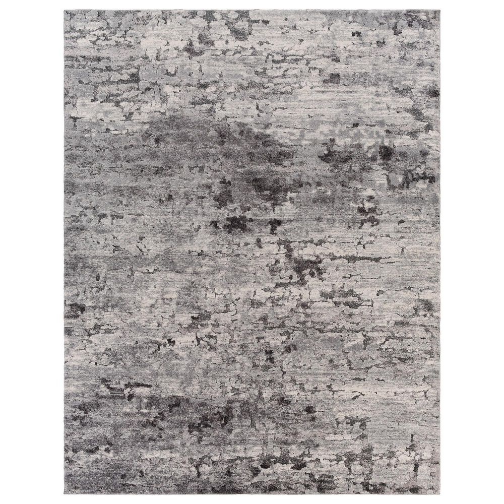 Surya Tuscany TUS-2310 Gray, Charcoal, Black and Ivory 8"10" x 12"2" Area Rug, , large
