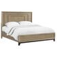 Emerald Home Furnishings Sutton Place King Panel Bed in Caramel and Cocoa, , large