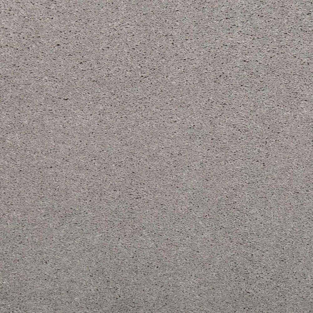 Mohawk Luxuriant Life Carpet in Highgate, , large