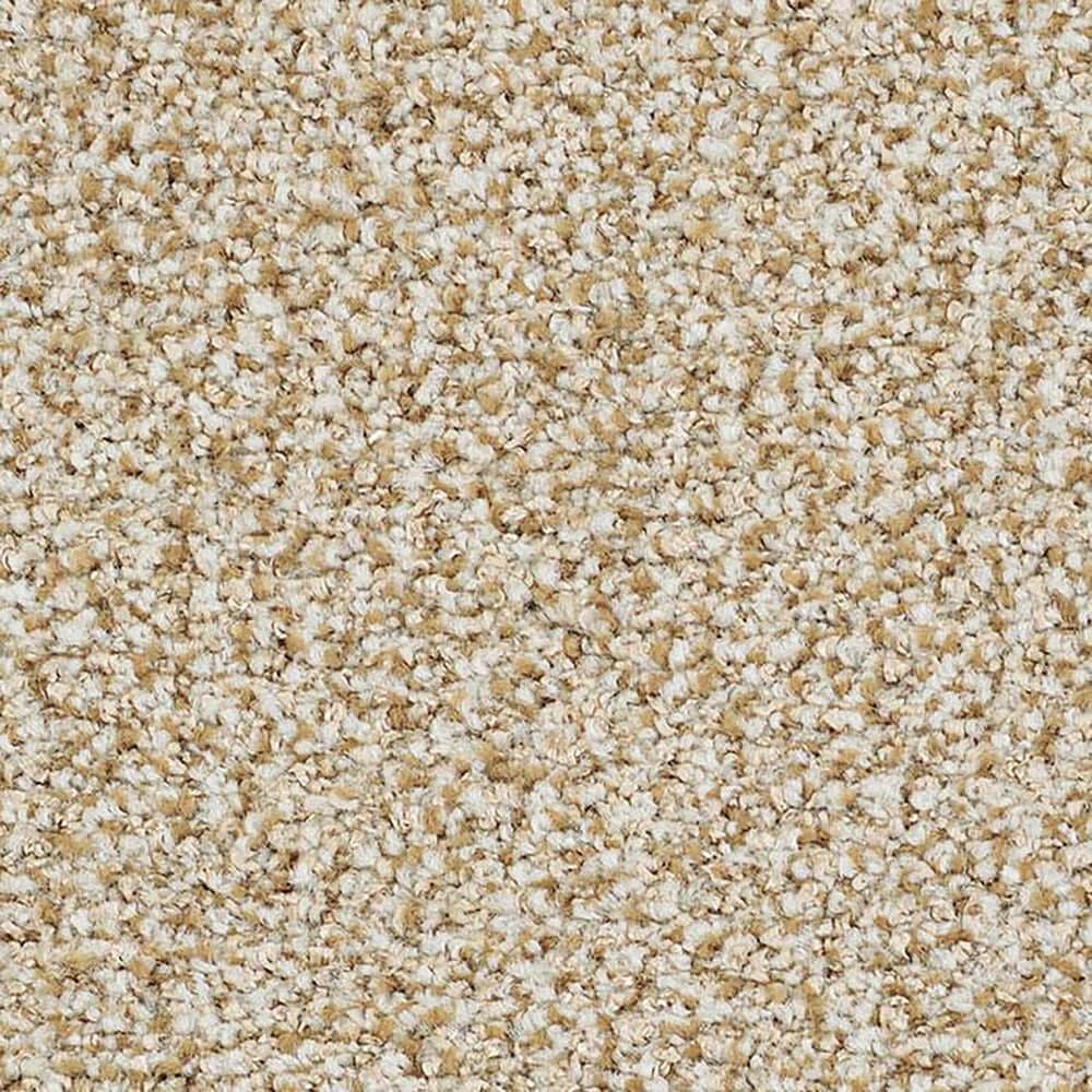 Masland Santo Domingo Carpet in Timeless, , large