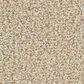 Masland Santo Domingo Carpet in Timeless, , large