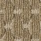 Anderson Tuftex Havencrest Carpet in Amber, , large