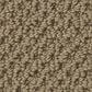 Anderson Tuftex Gracious Carpet in Vintage Brown, , large