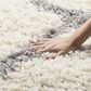 Safavieh Dallas Shag SGD257F-10 10" x 14" Ivory/Grey Area Rug, , large