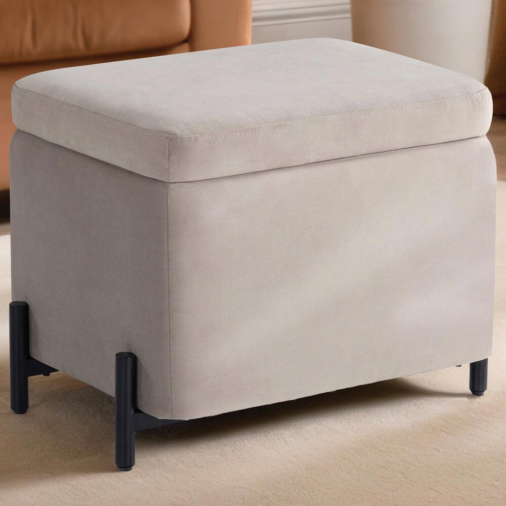 Lifestyle Solutions Kona Small Storage Ottoman in Taupe, , large