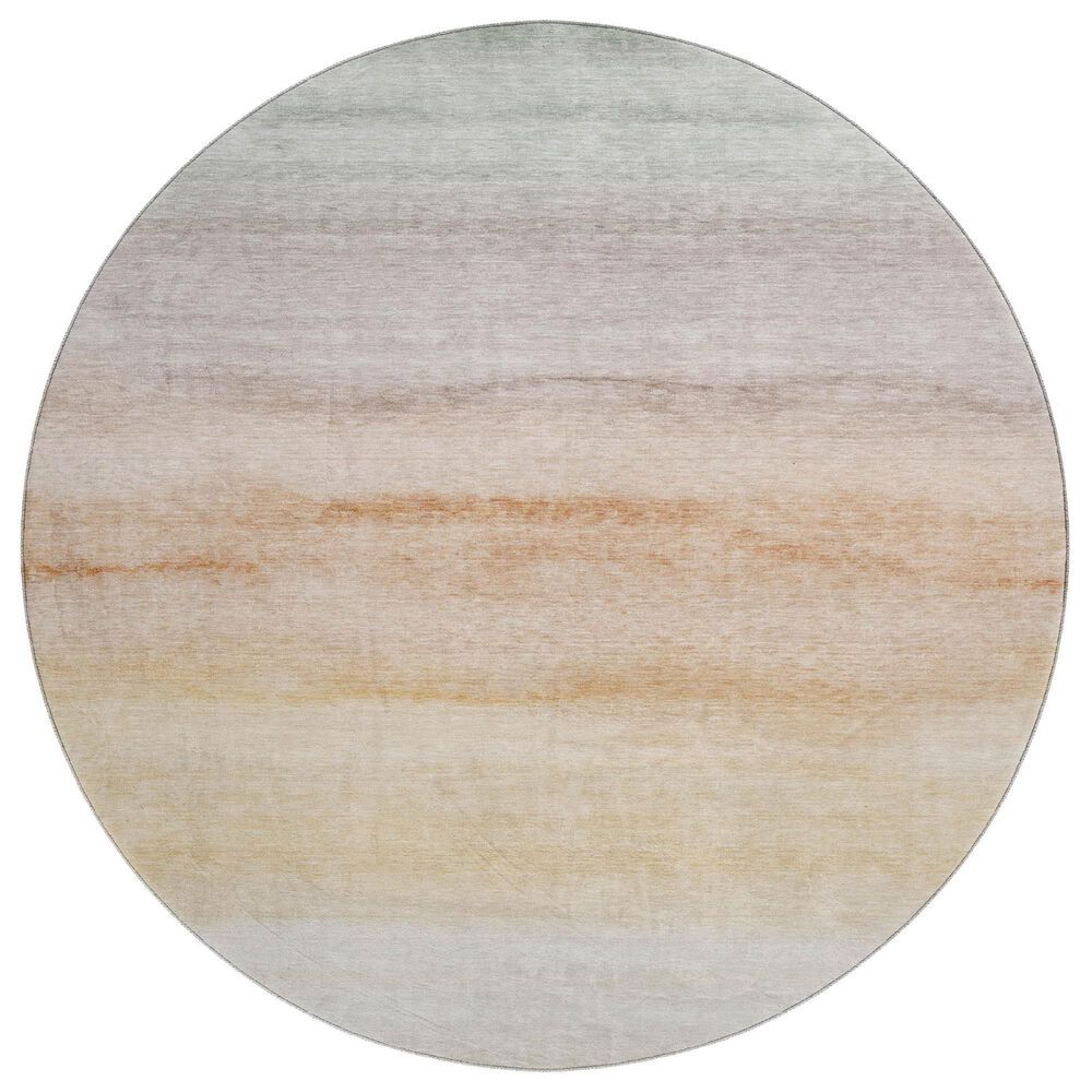 Dalyn Rug Company Pacifica PA8 8" Round Coral Area Rug, , large
