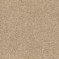Shaw Acadia Park Carpet in Wicker, , large