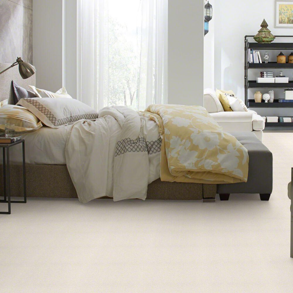 Philadelphia Basic Rules Carpet in Oatmeal, , large