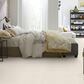 Philadelphia Basic Rules Carpet in Oatmeal, , large