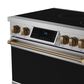 Thor Kitchen Gordon Ramsay 6 Cu. Ft. Professional Induction Range with Bronze Handle Kit in Stainless Steel, , large