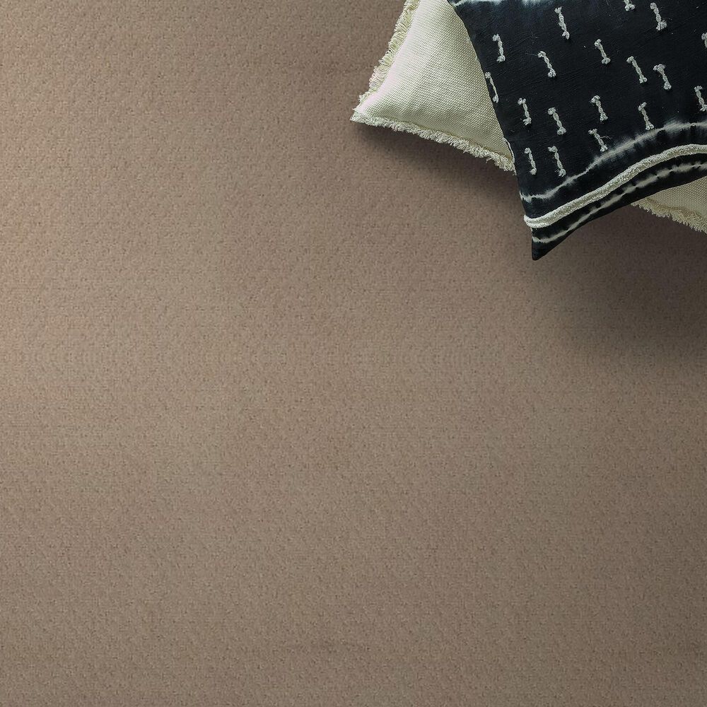 Anderson Tuftex West Fork Carpet in Terrazo, , large