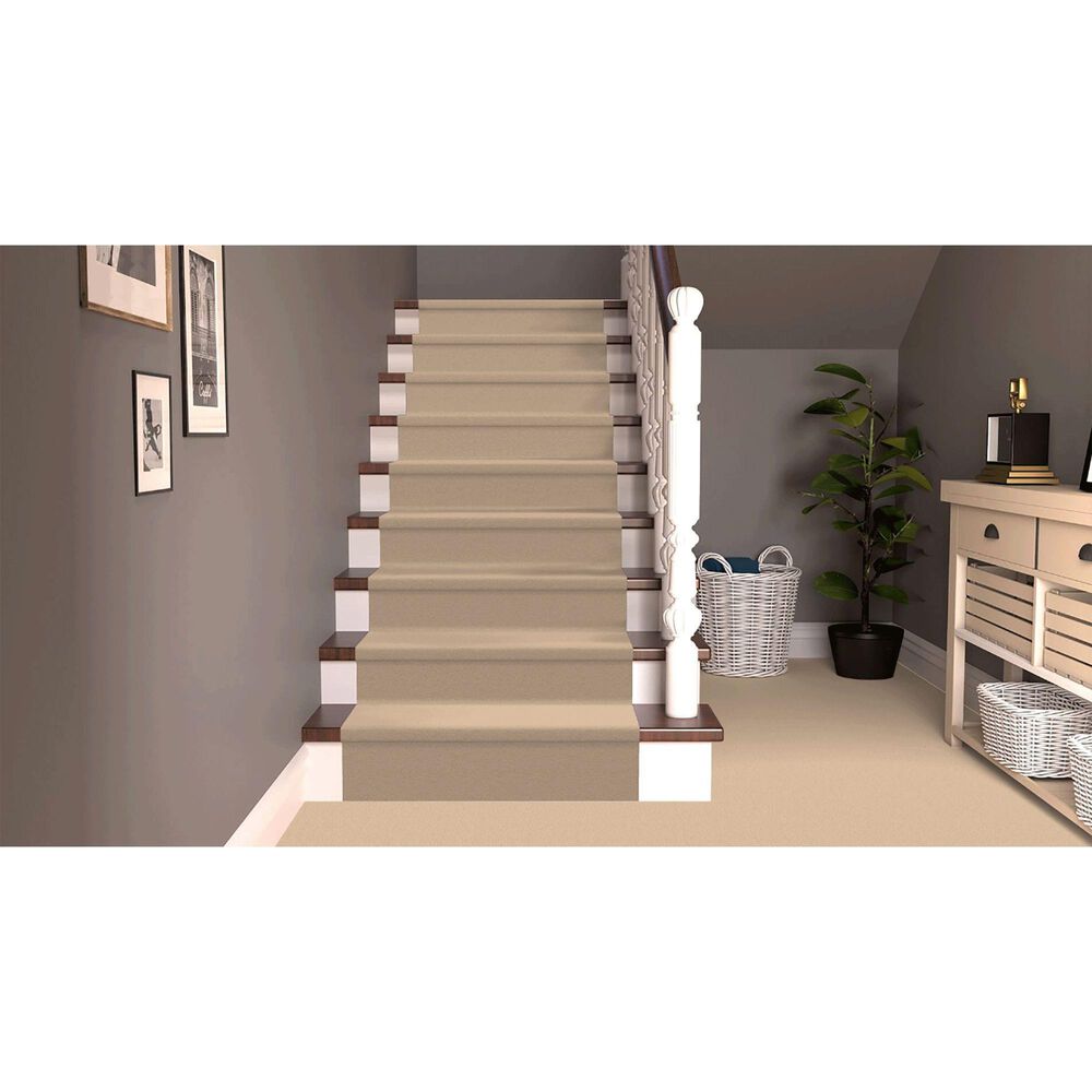 Dixie Home Neverland Carpet in Hillcrest, , large