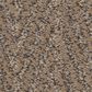 Anderson Tuftex Kit Carpet in Camelback, , large