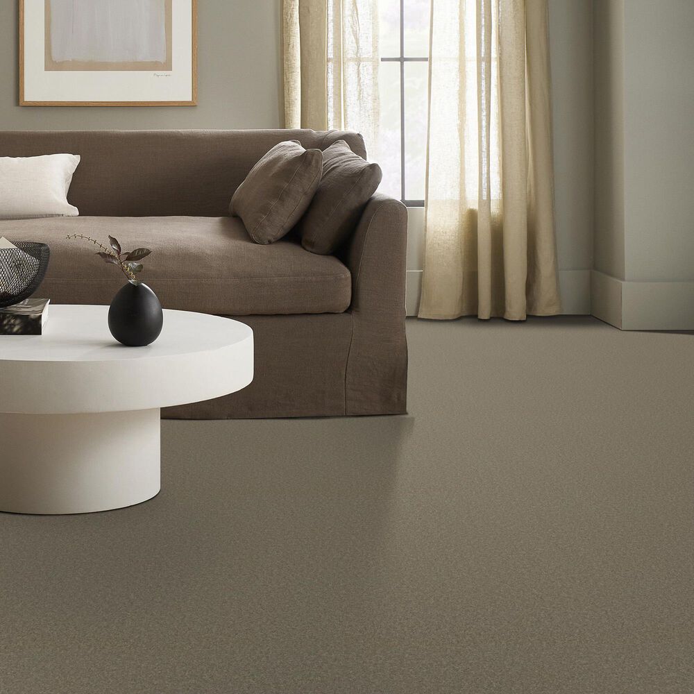Anderson Tuftex Enduring Charm Carpet in Slate, , large