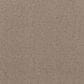 Shaw Run Free Carpet in Cameo, , large