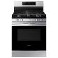 Samsung 6 Cu. Ft. Freestanding Gas Range with Self Clean in Stainless Steel, , large