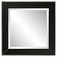Howard Elliott Devon Square Mirror in Black and Clear, , large