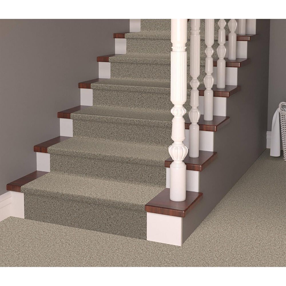 Dixie Home Winding Creek Premier Carpet in Neutral Ground, , large