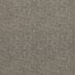 Shaw Run Free Carpet in Ashes, , large