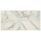 Dal-Tile Famed Diamond 12" x 24" Porcelain Tile, , large