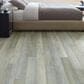 Shaw Floorte Paragon 5" x 48" Plus Luxury Vinyl Plank in Distinct Pine, , large