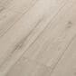 Shaw Pet Perfect Argento 7" x 48" Luxury Vinyl Plank, , large