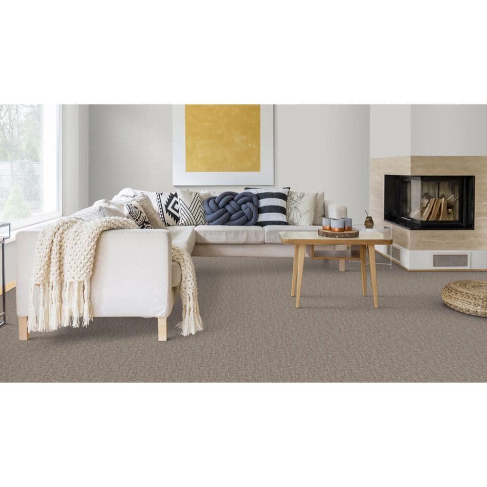 Dixie Home Crystal Oasis Carpet in Townhouse, , large