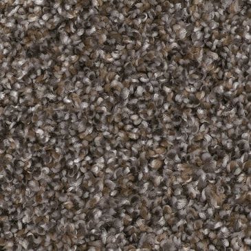 Shaw Yes You Can II Carpet in Cafe Noir, , large