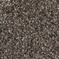 Shaw Yes You Can II Carpet in Cafe Noir, , large