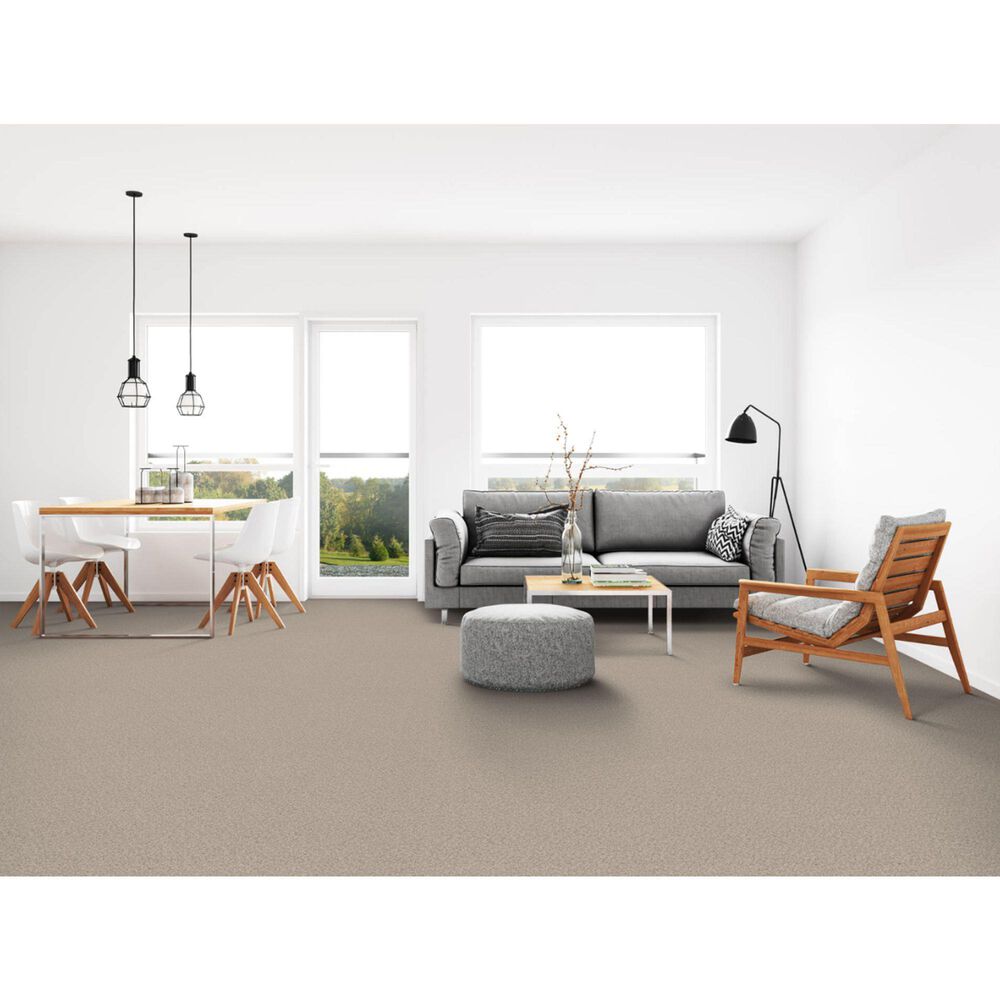Dixie Home Simplicity Carpet in Casual, , large