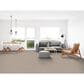 Dixie Home Simplicity Carpet in Casual, , large