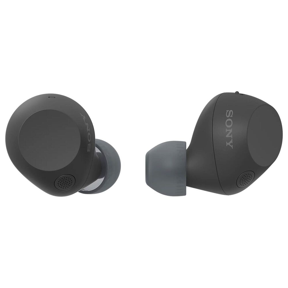 Sony True Wireless Noise Canceling Ear Buds in Black, , large
