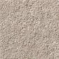 Shaw Simply the Best Momentum I Carpet in Boutique, , large