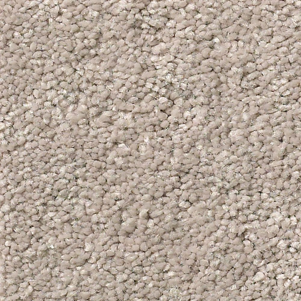 Shaw Simply the Best Momentum I Carpet in Boutique, , large