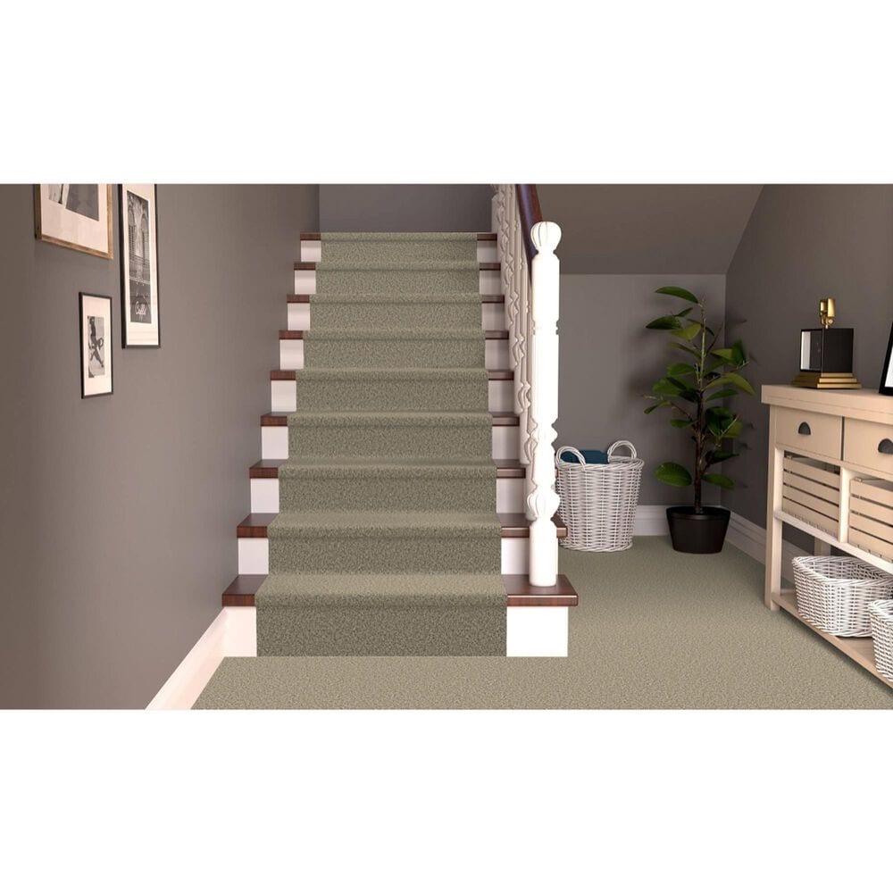 Dixie Home Riverbend Carpet in Pebble, , large