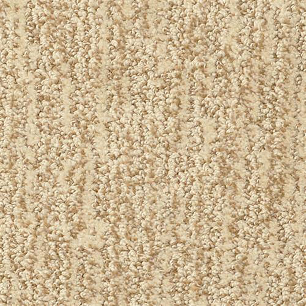 Masland Mesa Verde Carpet in Coventry, , large