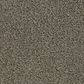Mohawk Coastal Luxury II Carpet in Dolphin, , large