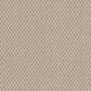 Shaw Naturalistic Carpet in Sun Kissed, , large